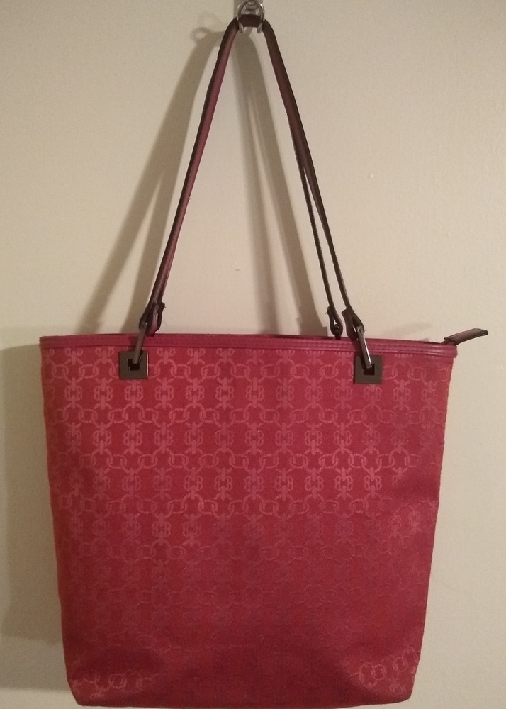 Bueno Purse/Tote